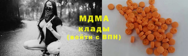 прущие грибы Саяногорск