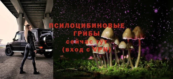 твердый Богданович