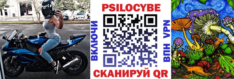закладка  Тотьма  Псилоцибиновые грибы Cubensis 
